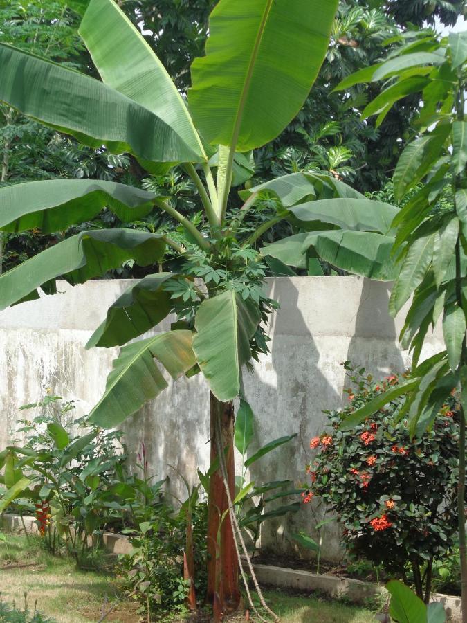 Hotel Santos'S House Sao Tome Exterior foto